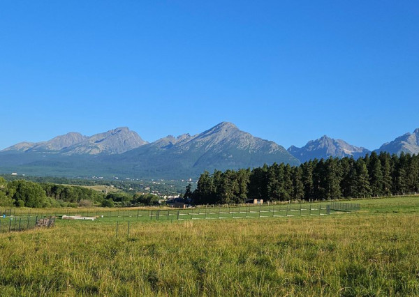 Stavebný pozemok na predaj v obci Mlynica