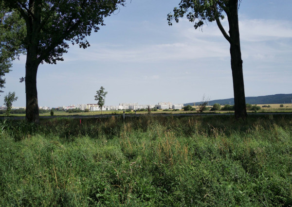 INVESTIČNÝ STAVEBNÝ POZEMOK – SPIŠSKÁ TEPLICA | 2 374 m² | OBČIANSKA VYBAVENOSŤ A VÝROBA